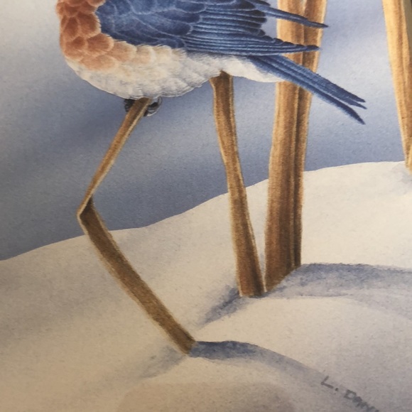 Blue Bird print by L. Daniel/ natural tone wood frame/ double matted/bird/straw - Picture 8 of 14